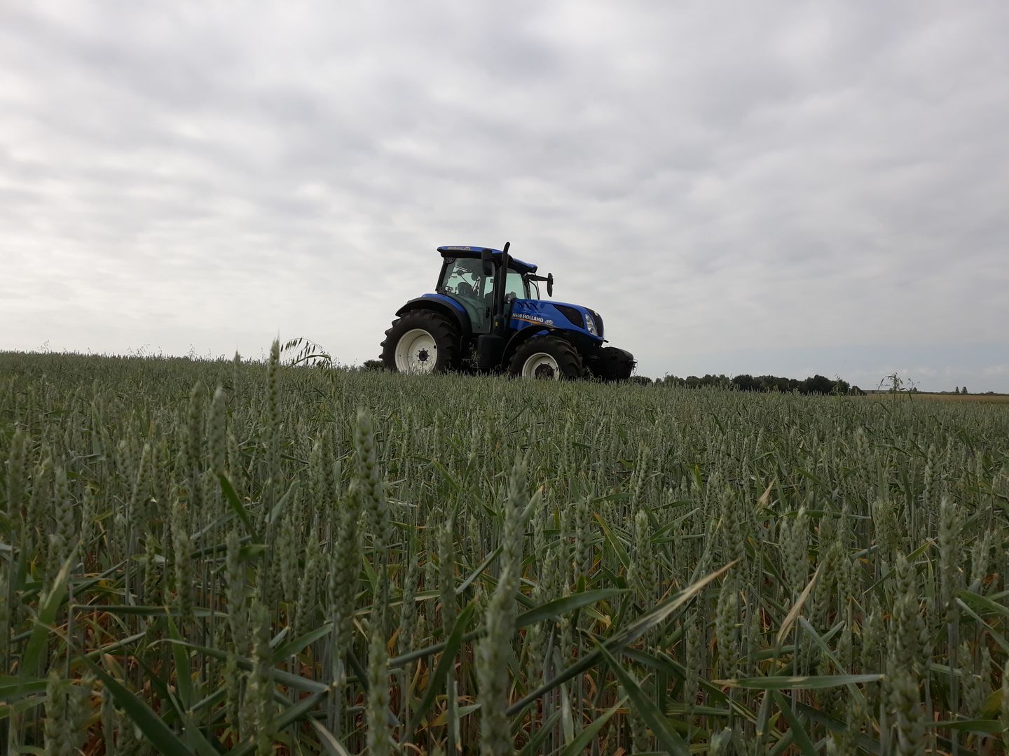 Ciągnik rolniczy New Holland t7.165s